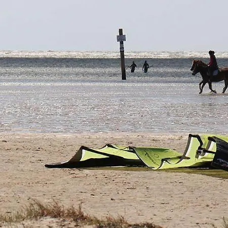 Fewo-nordsee-whg-11 * סנט פטר-אורדינג